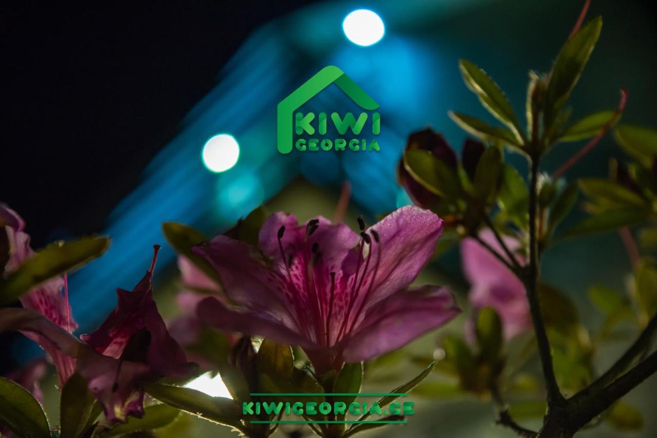 Kiwi Georgia Villa Кобулети Екстериор снимка