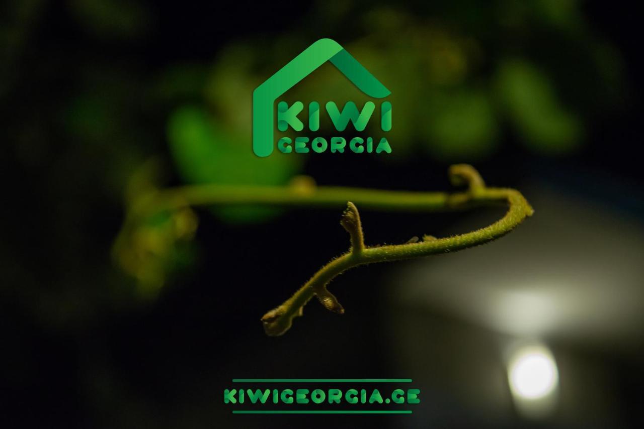 Kiwi Georgia Villa Кобулети Екстериор снимка