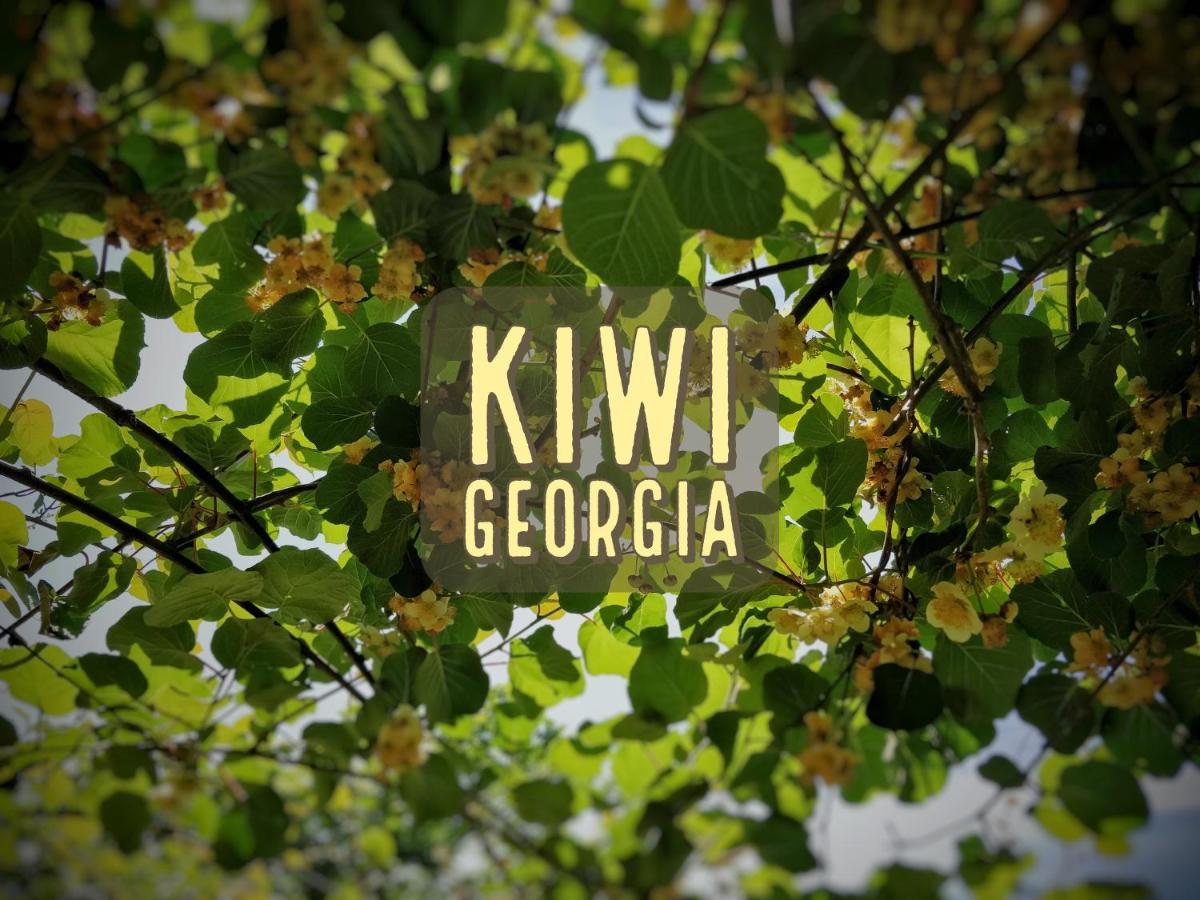 Kiwi Georgia Villa Кобулети Екстериор снимка