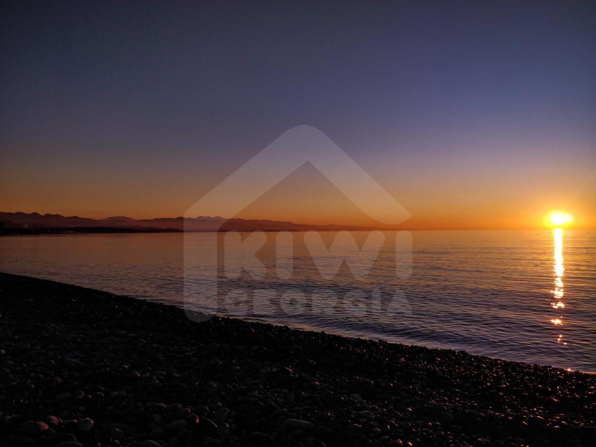 Kiwi Georgia Villa Кобулети Екстериор снимка