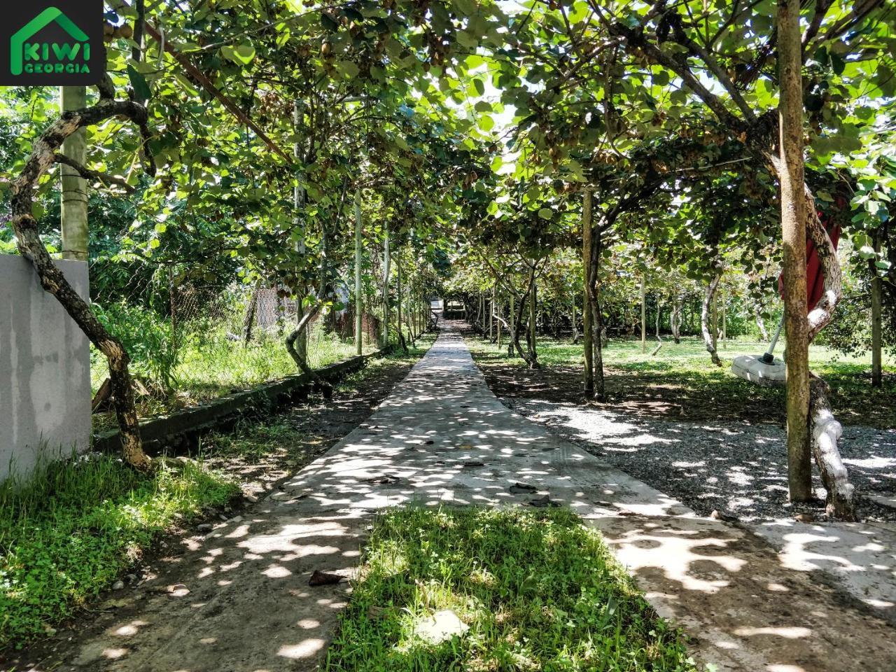 Kiwi Georgia Villa Кобулети Екстериор снимка